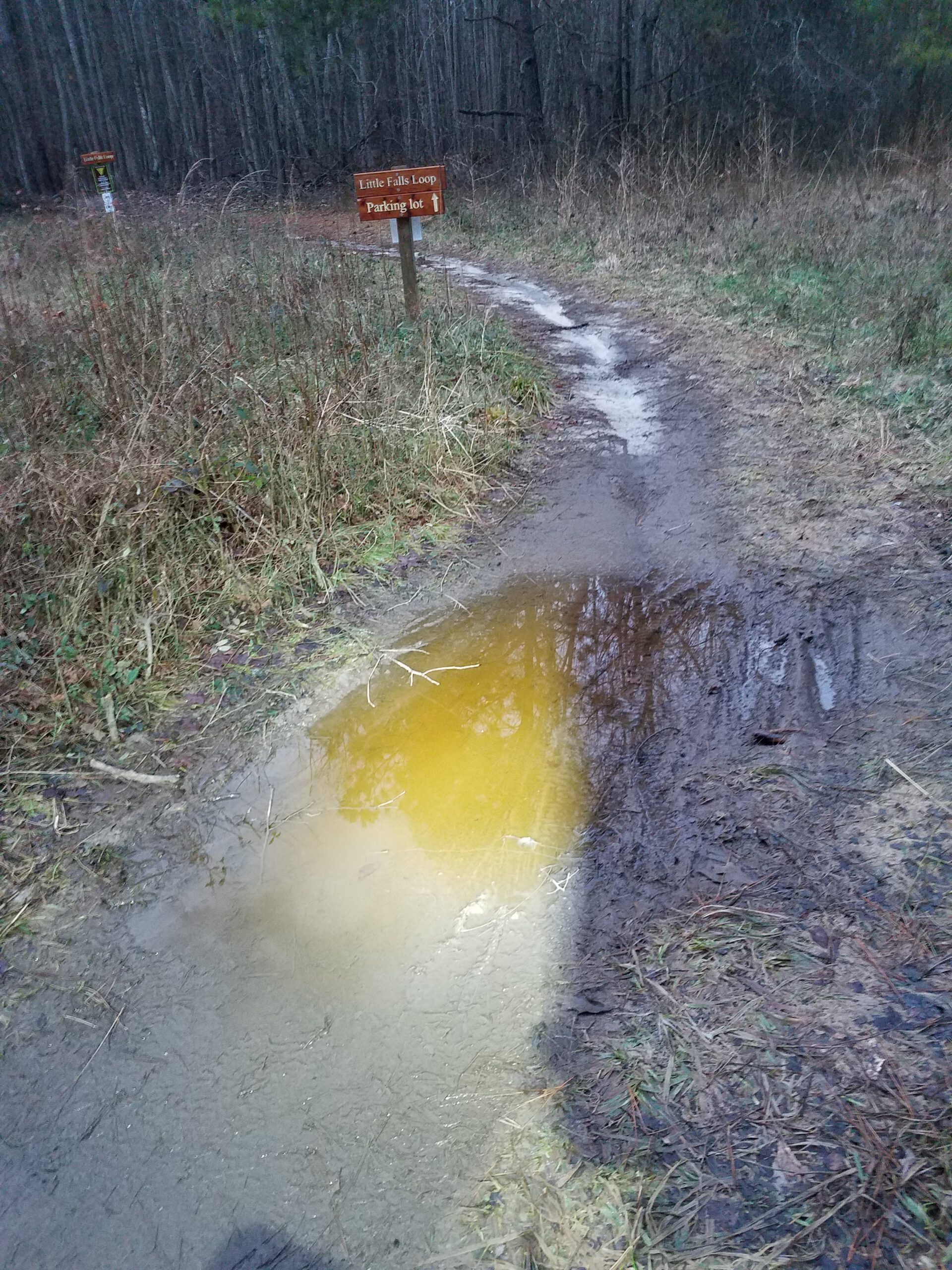 WetWilliamsonTrail2 1 scaled