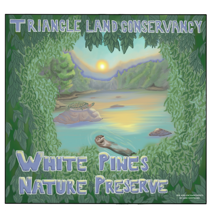 White Pines 1
