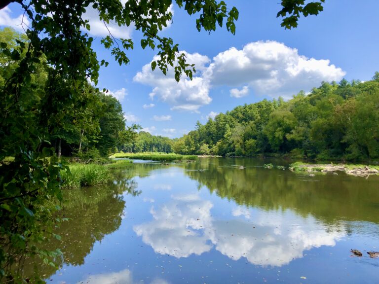 White Pines Confluence margot lester