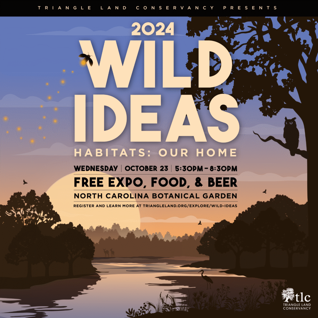 Wild Ideas 2024 Poster TLC Social FINAL 01 1