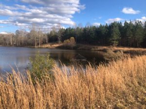 Williamson Easement 1