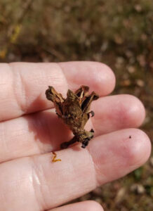 b0bf6602 1edf 49ae 80bb 113cdace205d 1