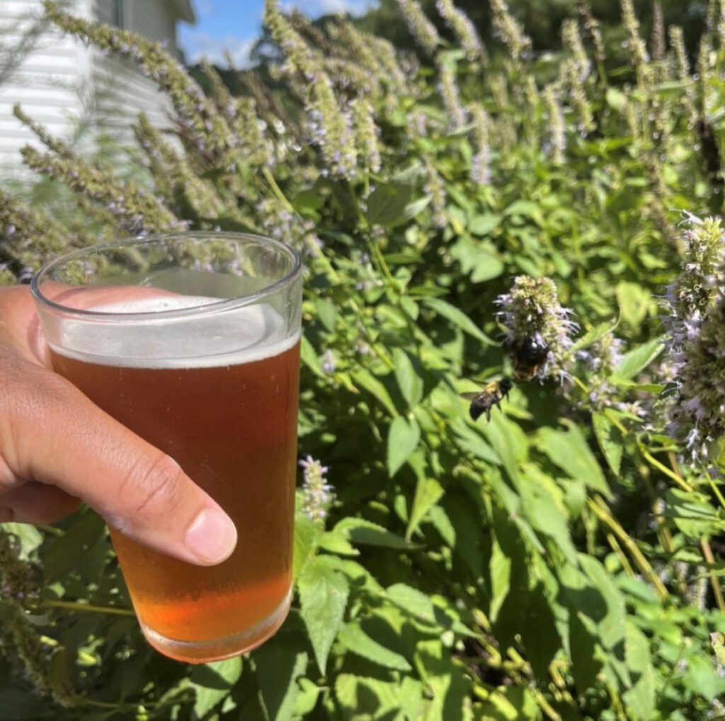 TLC Hosts Weekend at Williamson with Leave No Trace and Steel String Brewery beerspollinators 1