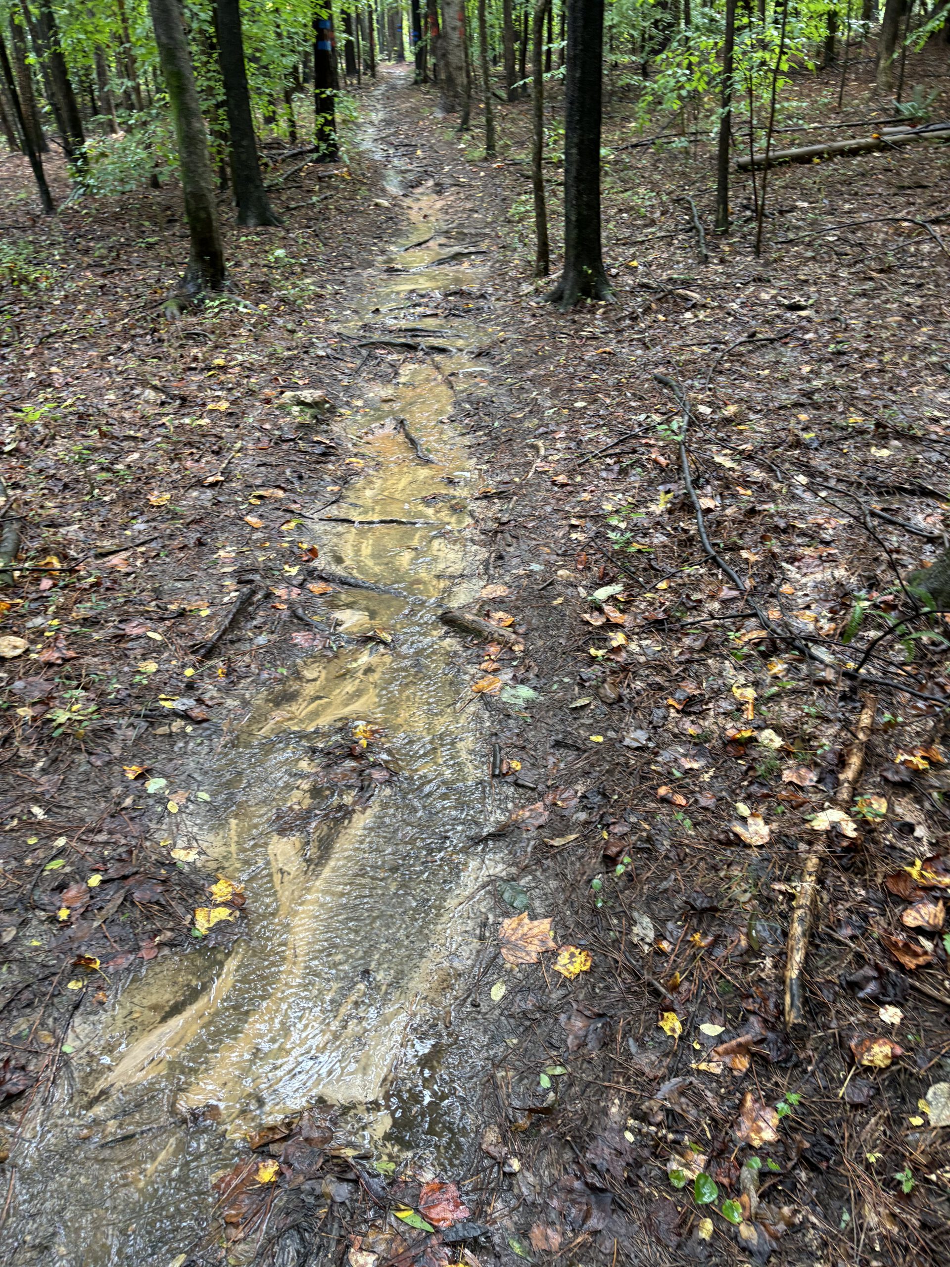 closed trail image 1 scaled