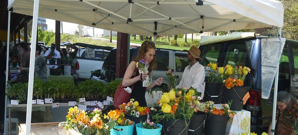 triangle land conservancy