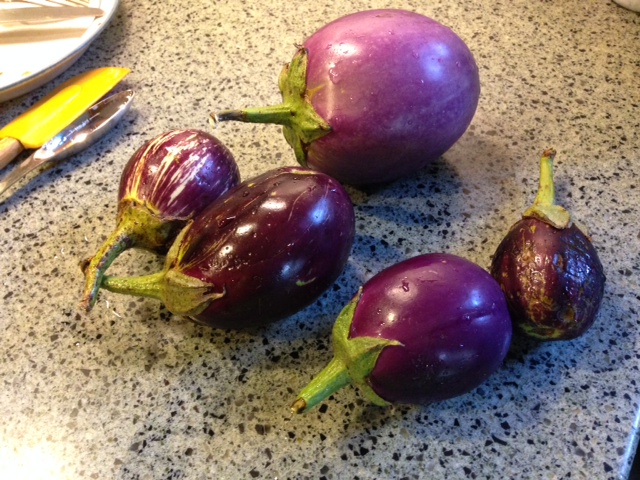 eggplant