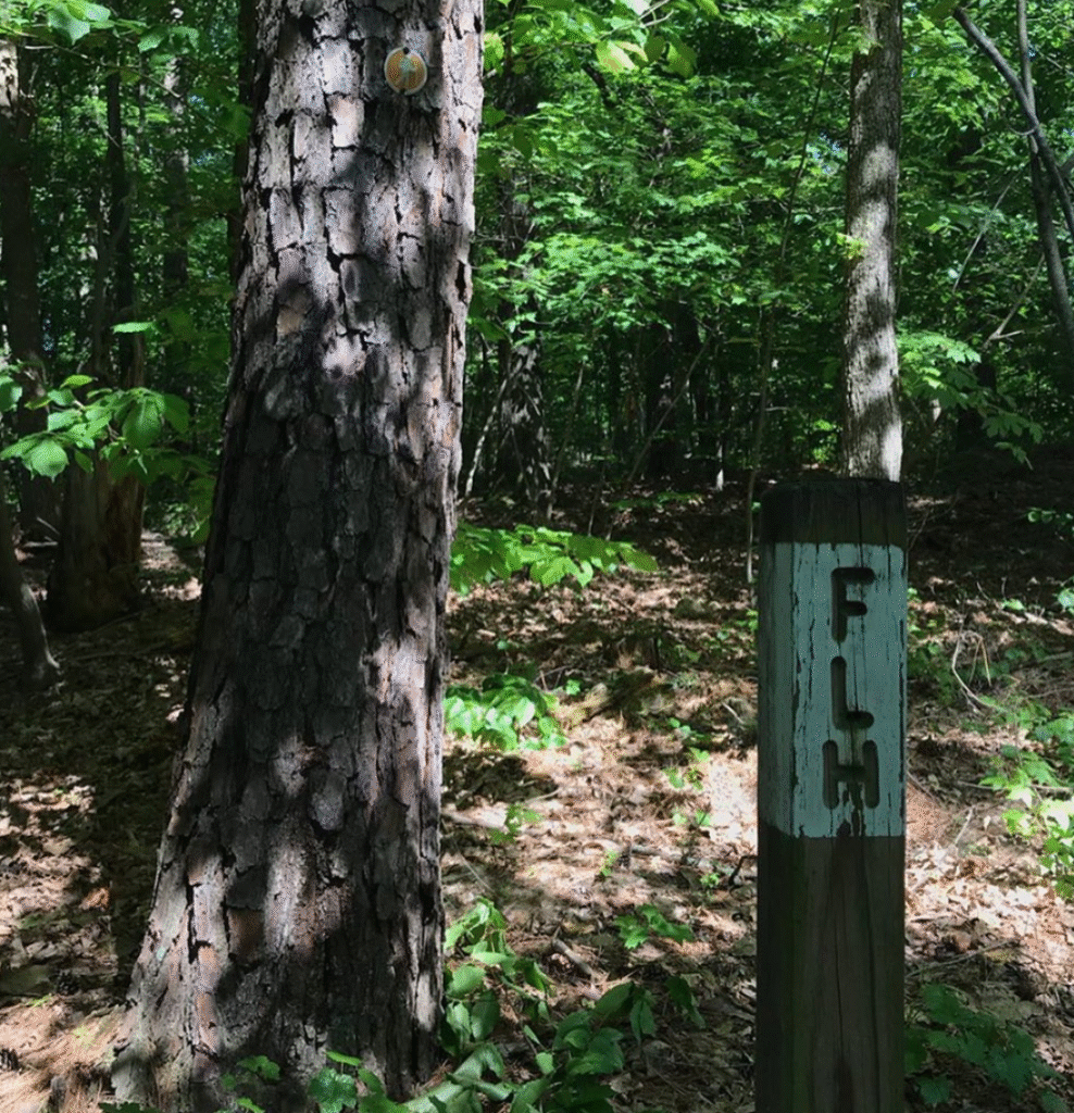 flower hill acarr walks 1