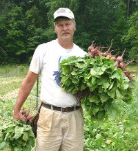 harvestingbeets200 1
