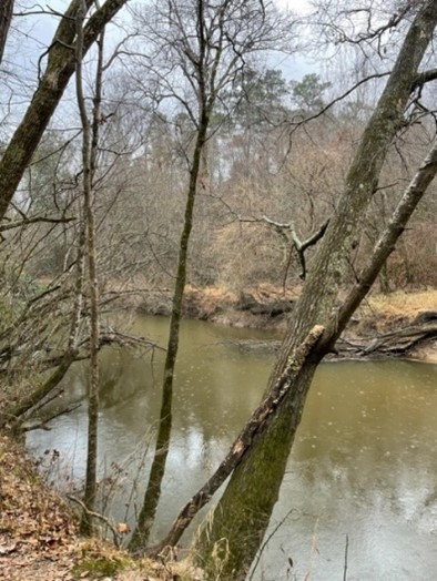 Meet the Neuse River Waterdog! hroyal fieldwork 1