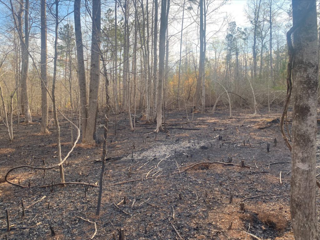 immediate post burn 1 1 1