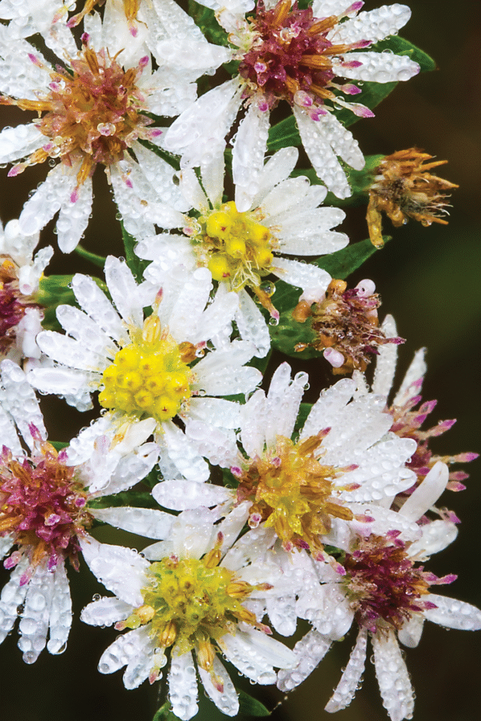 john petranka e1581691857451 1