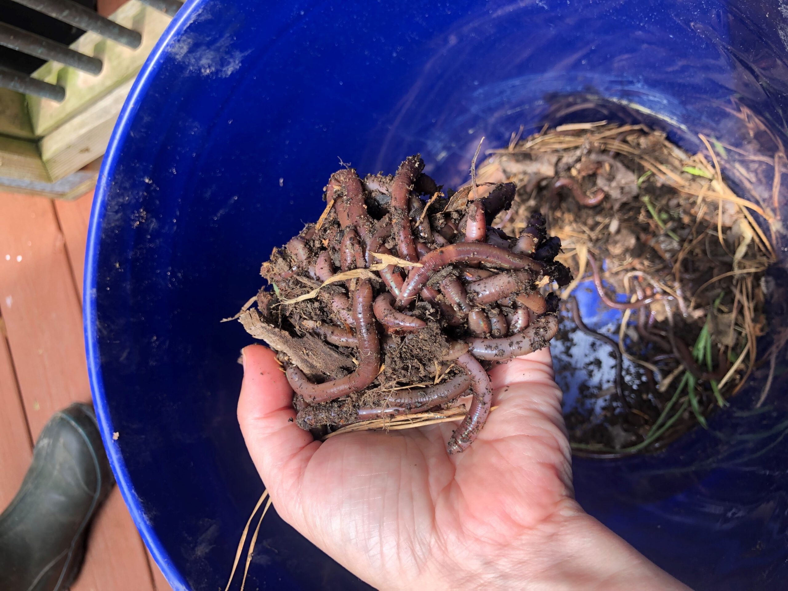 oodles of noodles 1 scaled