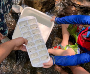 processed 489150E8 1610 404F 891C 813AD39B1E6C e1774472950220