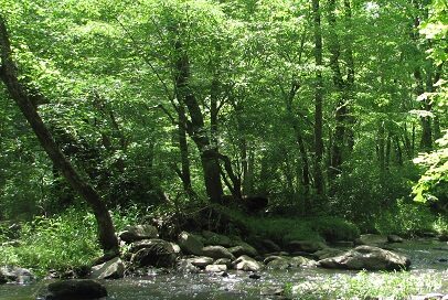 Lower Haw River State Natural Area