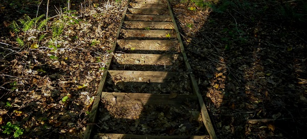 triangle land conservancy, swift creek bluffs