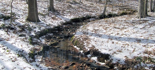 Triangle Land Conservancy