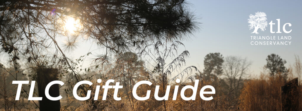 TLC Gift Guide tlc gift guide 2020 1