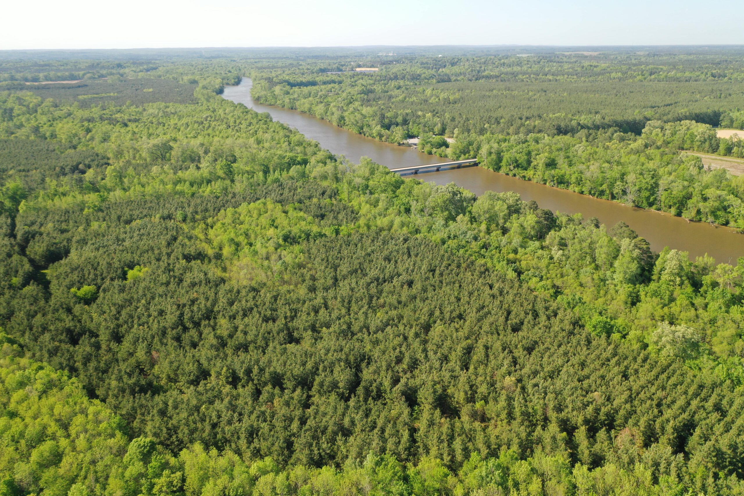 view northwest to Cape Fear min 1 scaled