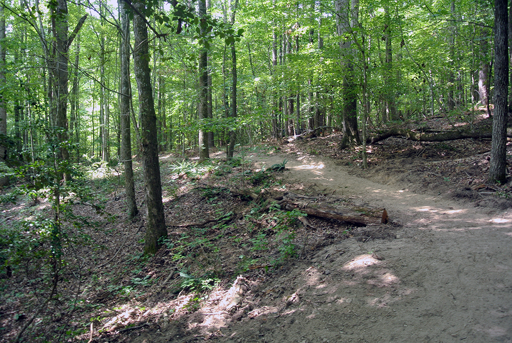 Tales from the Field: A Mayberry State of Mind Gilbert Yager Trail